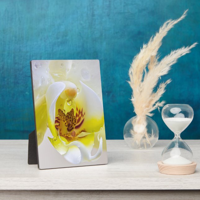 Placa Expositora Orchid Dew (Lado)