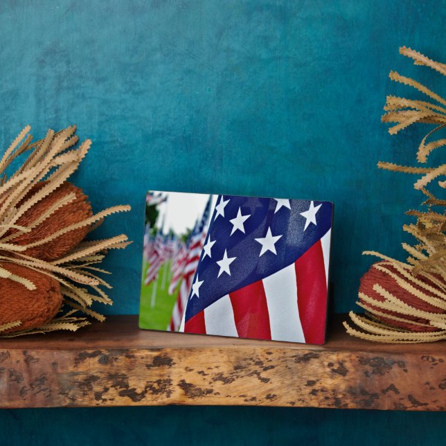 Placa Expositora Orgullo americano (Lado)