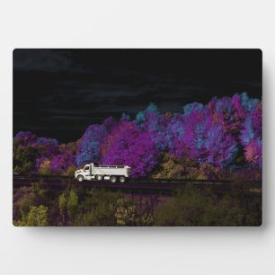 Placa Expositora oscar sale del fiesta