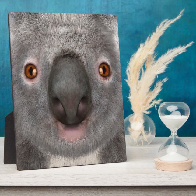 Placa Expositora Oso Koala (Lado)