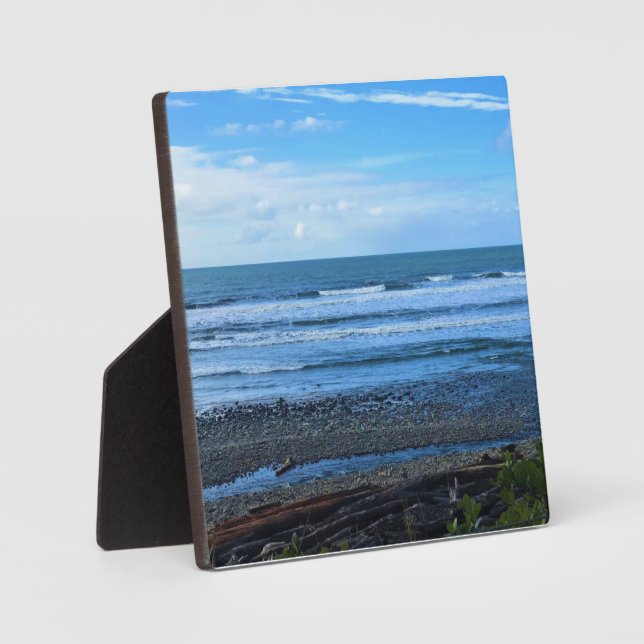 Placa Expositora Oswald West State Park, Oregon (Anverso)