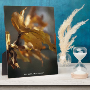 Placa Expositora Otoño