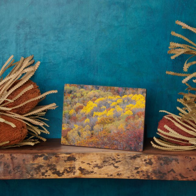 Placa Expositora Otoño en Michigan (Lado)