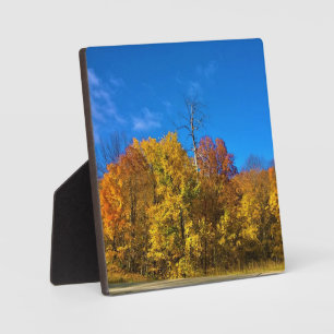 Placa Expositora Otoño en West Bend, Wisconsin