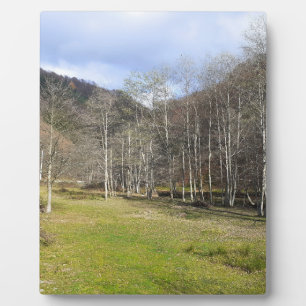 Placa Expositora Otoño Temprano junto al Río - Wild Nature Rumania