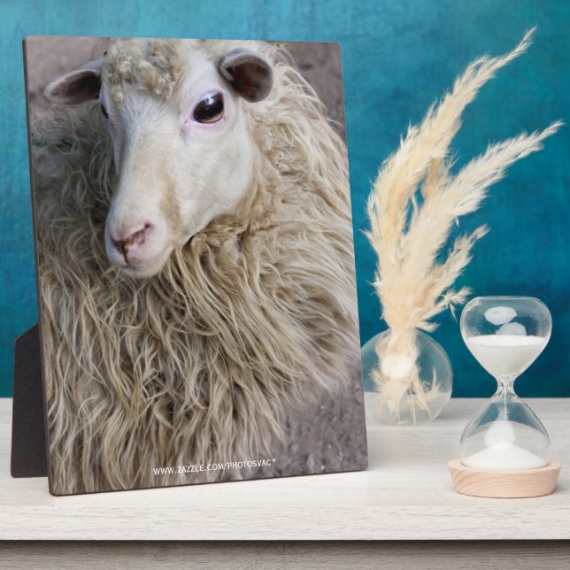 Placa Expositora Oveja divertida (Lado)