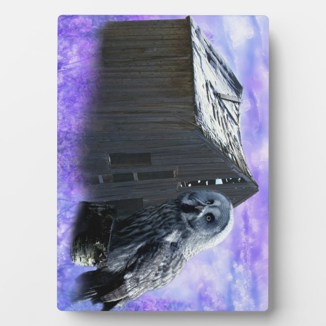 Placa Expositora Owl Barn Shed (Frente)