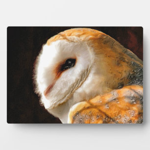 PLACA EXPOSITORA OWLS