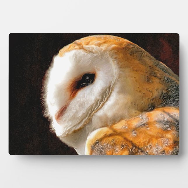 PLACA EXPOSITORA OWLS (Frente)