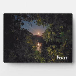 Placa Expositora Pacífica alzamiento en un cielo azul sobre el agua