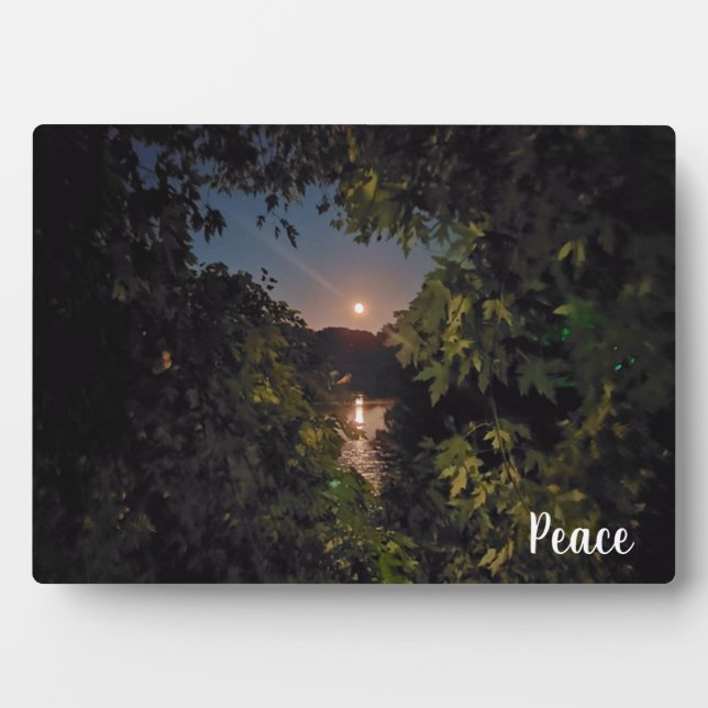 Placa Expositora Pacífica alzamiento en un cielo azul sobre el agua (Frente)