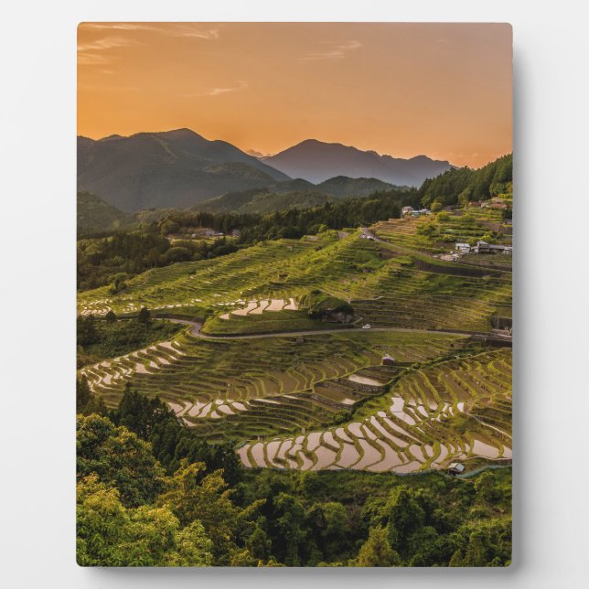 Placa Expositora Paisaje (Frente)