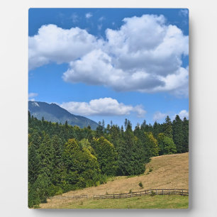 Placa Expositora Paisaje de pradera montañosa - Naturaleza salvaje 