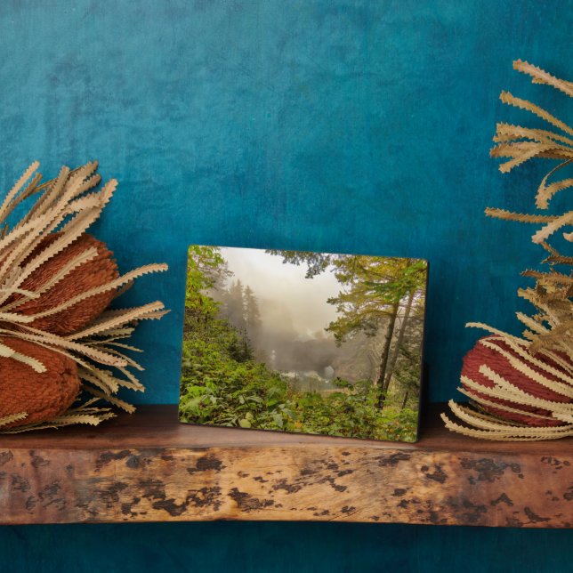 Placa Expositora Paisaje forestal y oceánico (Lado)