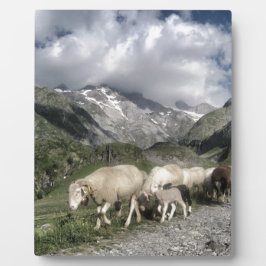 Placa Expositora paisaje pirenaico