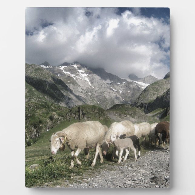 Placa Expositora paisaje pirénico (Frente)