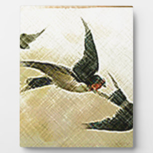 Placa Expositora Pájaros en Vuelo