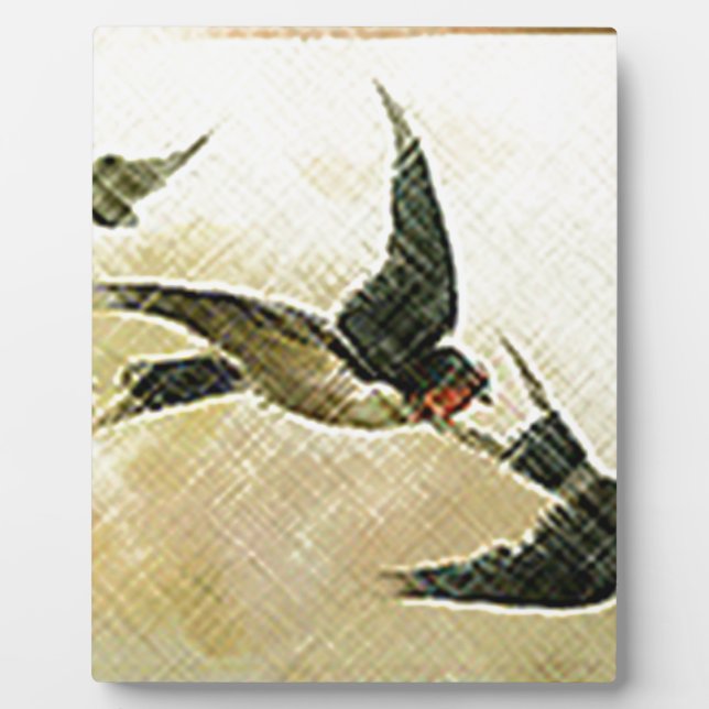 Placa Expositora Pájaros en Vuelo (Frente)
