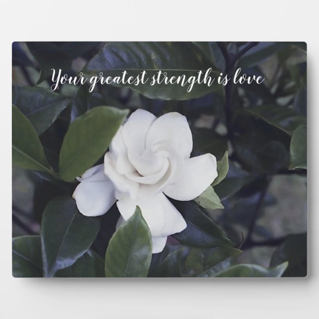 Placa Expositora Palabras de sabiduría Tabletop Plaque con caballet (Frente)