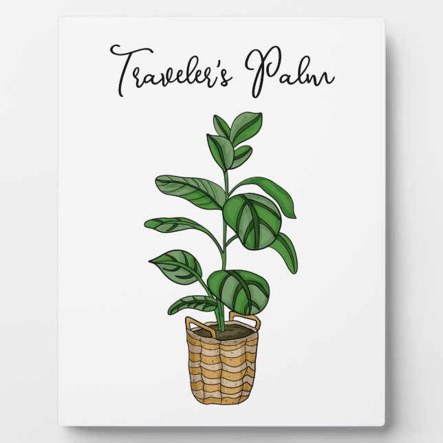 Placa Expositora Palm de viajero dibujado a mano (Frente)