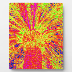 Placa Expositora palmera fluorescente