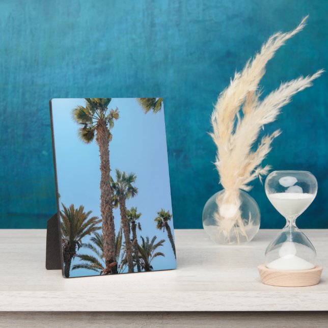 Placa Expositora Palmeras de verano (Lado)