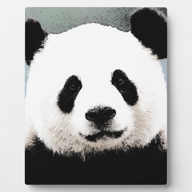 Placa Expositora Panda (Frente)