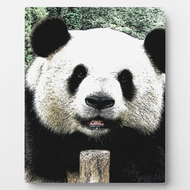 Placa Expositora Panda (Frente)