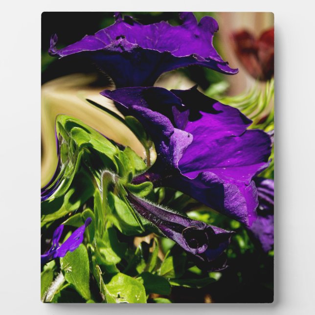 Placa Expositora Pánico morado (Frente)