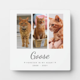 Placa Expositora Para siempre en mi corazón Mascota regalo conmemor