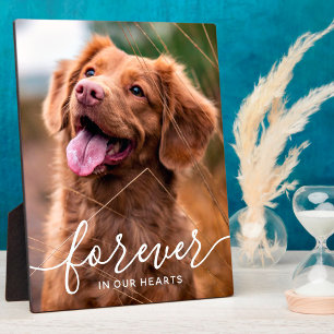 Placa Expositora Para siempre en nuestra foto de perro en memoria d