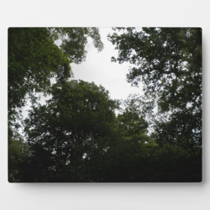 Placa Expositora Parcela boscosa