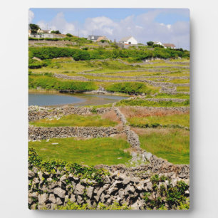 Placa Expositora Paredes de piedra de Irlanda