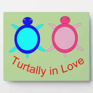 Placa Expositora Pareja De Tortuga Cuta
