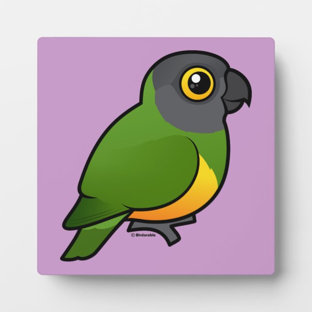 Placa Expositora Paro de Senegal (Frente)