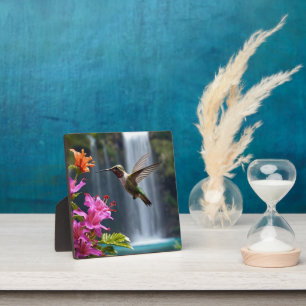 Placa Expositora Parque de la cascada de Hummingbird