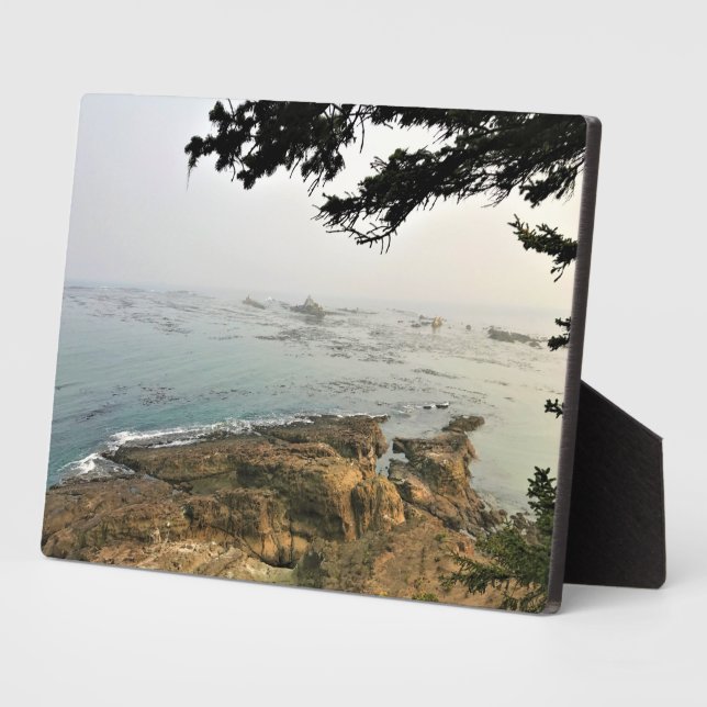 Placa Expositora Parque Estatal Cape Arago, Costa de Oregón (Lado)