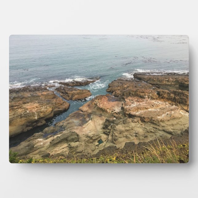 Placa Expositora Parque Estatal Cape Arago, Costa de Oregón (Frente)