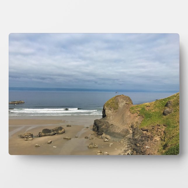 Placa Expositora Parque Estatal Ecola, Playa Cannon, Oregón (Frente)