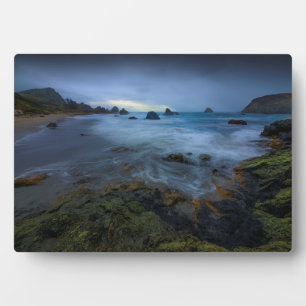 Placa Expositora Parque estatal Harris Beach   Oregón