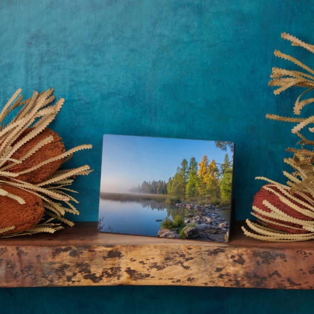 Placa Expositora Parque Estatal Itasca, Minnesota (Lado)