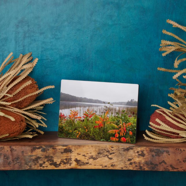 Placa Expositora Parque estatal Itasca | Minnesota (Lado)