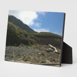 Placa Expositora Parque Estatal Neptune, OR