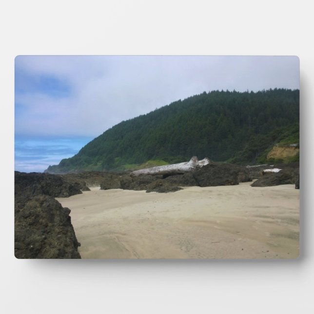 Placa Expositora Parque Estatal Neptune, OR (Frente)