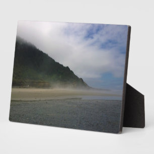 Placa Expositora Parque Estatal Neptune, OR