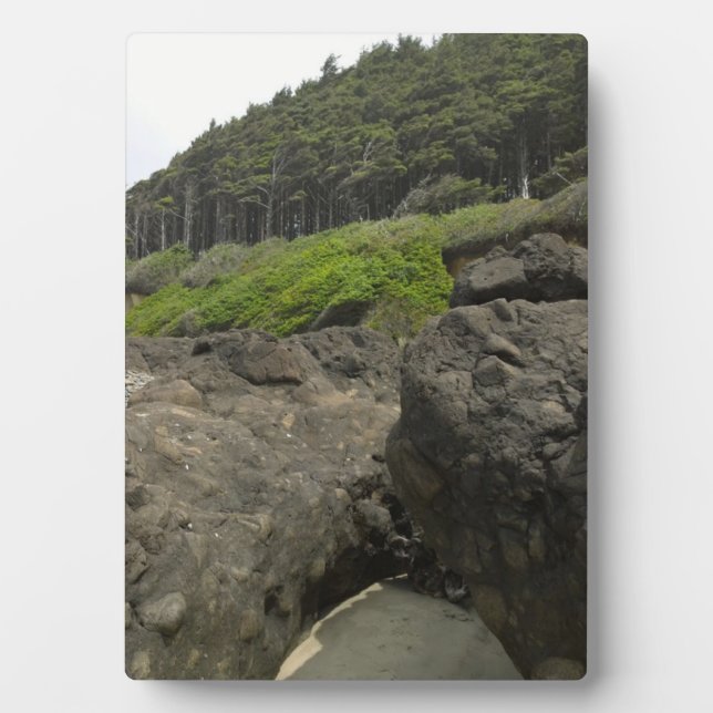 Placa Expositora Parque Estatal Neptune, OR (Frente)