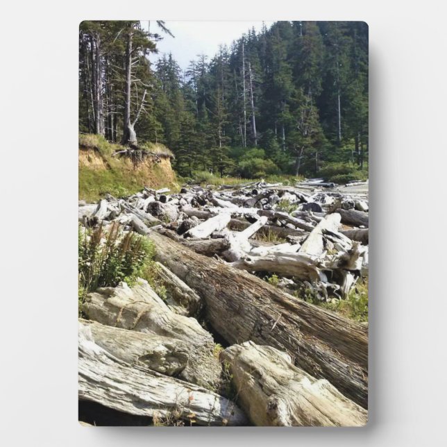 Placa Expositora Parque Estatal Oswald West, Costa de Oregón (Frente)