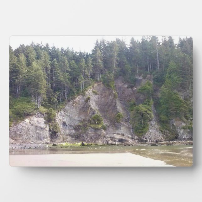 Placa Expositora Parque Estatal Oswald West, Costa de Oregón (Frente)