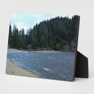 Placa Expositora Parque Estatal Oswald West, Costa de Oregón