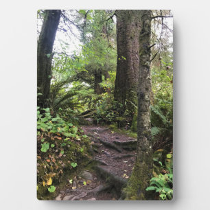 Placa Expositora Parque Estatal Oswald West, Costa de Oregón